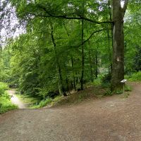 Unterwegs im Vogelsangbachtal