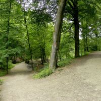 Auf dem Weg ins Paradies